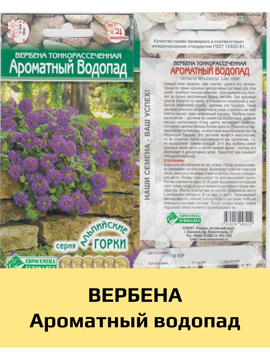 Вербена тонкорассеченная семена. Вербена тонкорассечённая семена. Вербена тонкорассеченная Элизабет. Вербена тонкорассеченная.смесь. Вербена тонкорассеченная многолетняя.