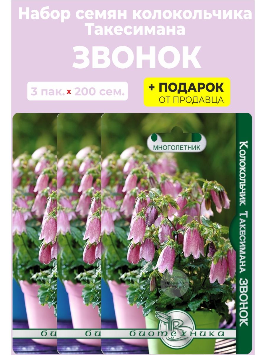 Колокольчик такесимана. Колокольчик такесимана звонок. Колокольчик такесимана розовый.