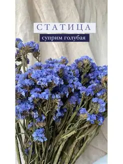 Статица Суприм голубая Стильные цветы 141558953 купить за 159 ₽ в интернет-магазине Wildberries