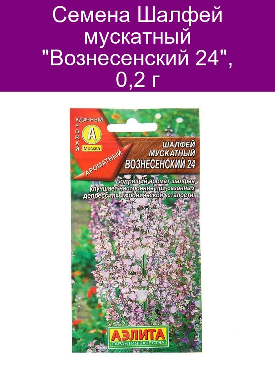 Шалфей Семенами Цена