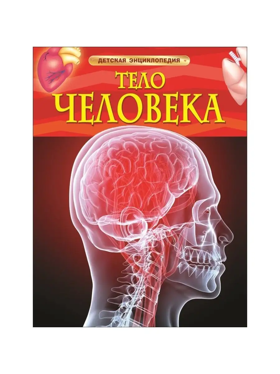 Детская энциклопедия Тело человека Росмэн 141767399 купить в  интернет-магазине Wildberries