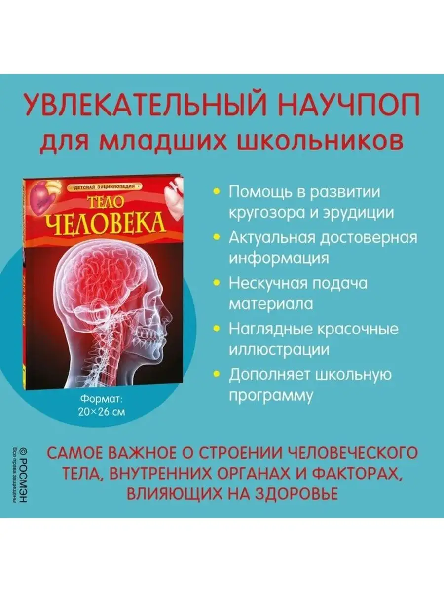 Детская энциклопедия Тело человека Росмэн 141767399 купить в  интернет-магазине Wildberries