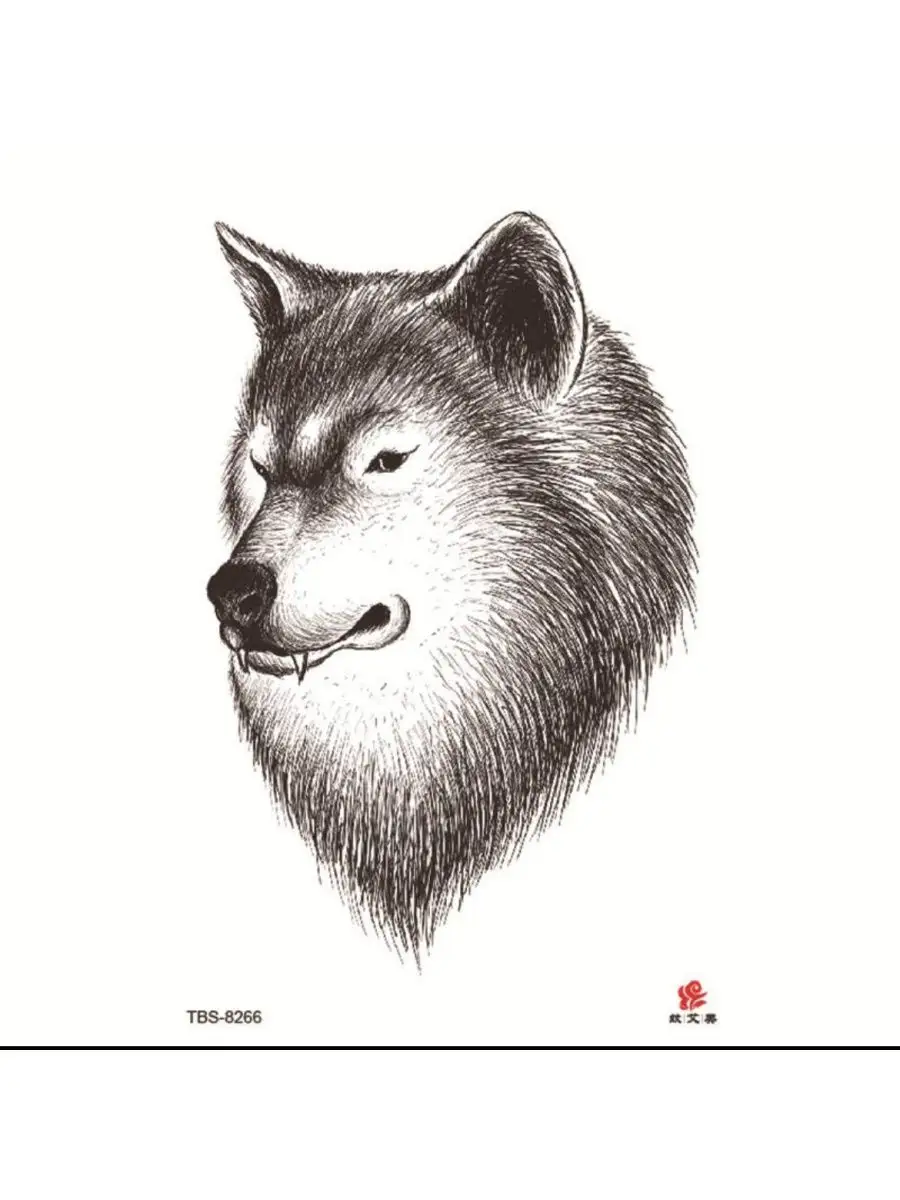 Идеи для срисовки голова волка (90 фото)