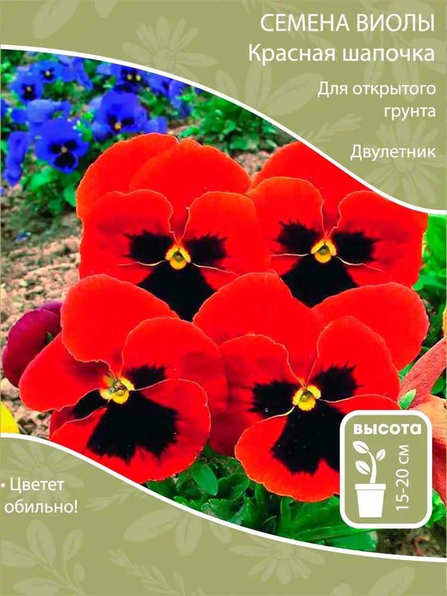 Семена виола Красная шапочка
