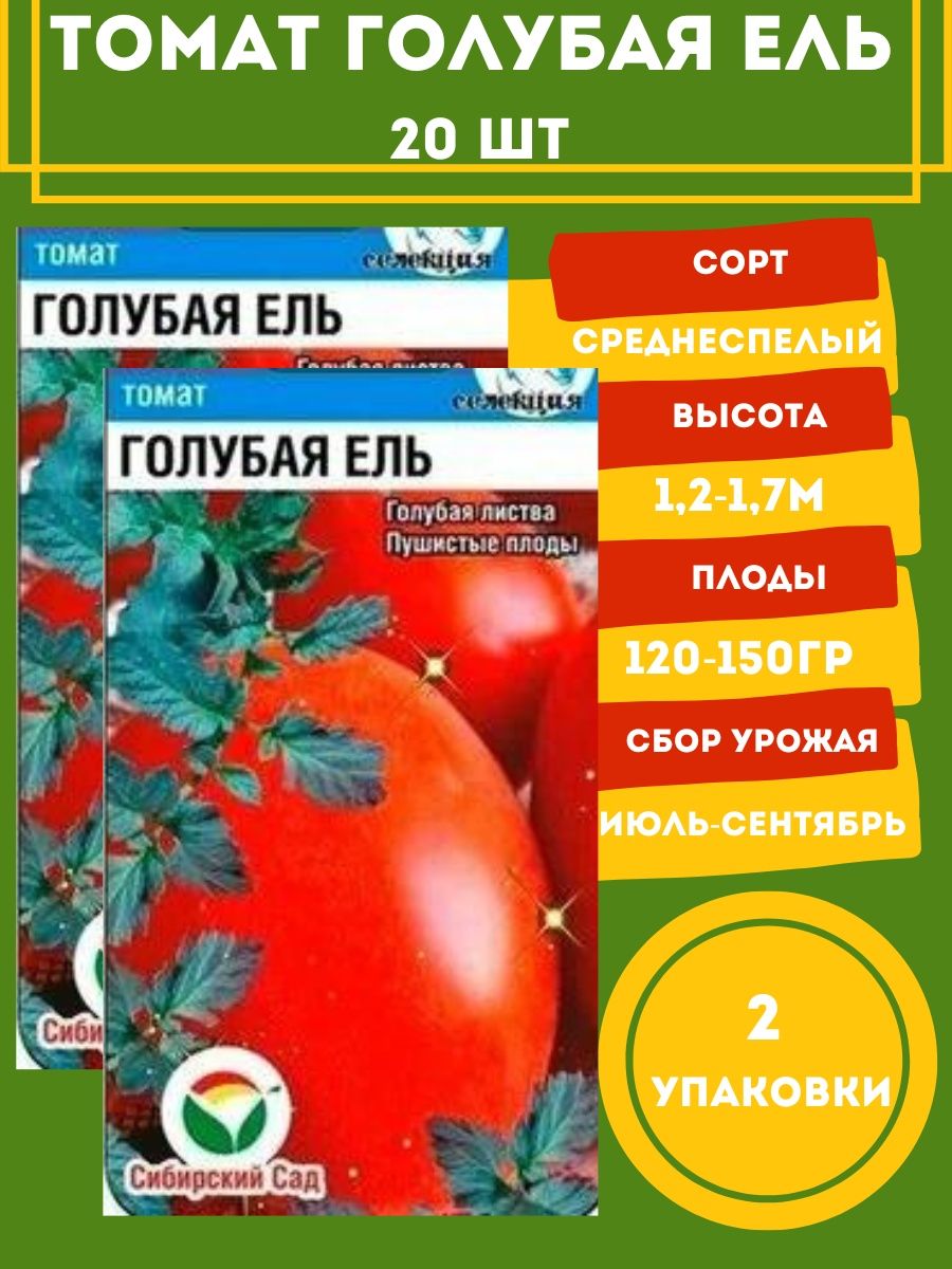 Томаты голубая ель описание сорта. Томат голубая ель. Томат голубые ели. Томат голубая ель отзывы. Томат голубой Казахстан.