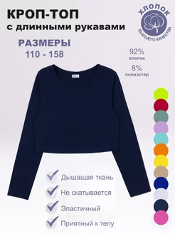 Топ ylala 141962444 купить за 506 ₽ в интернет-магазине Wildberries