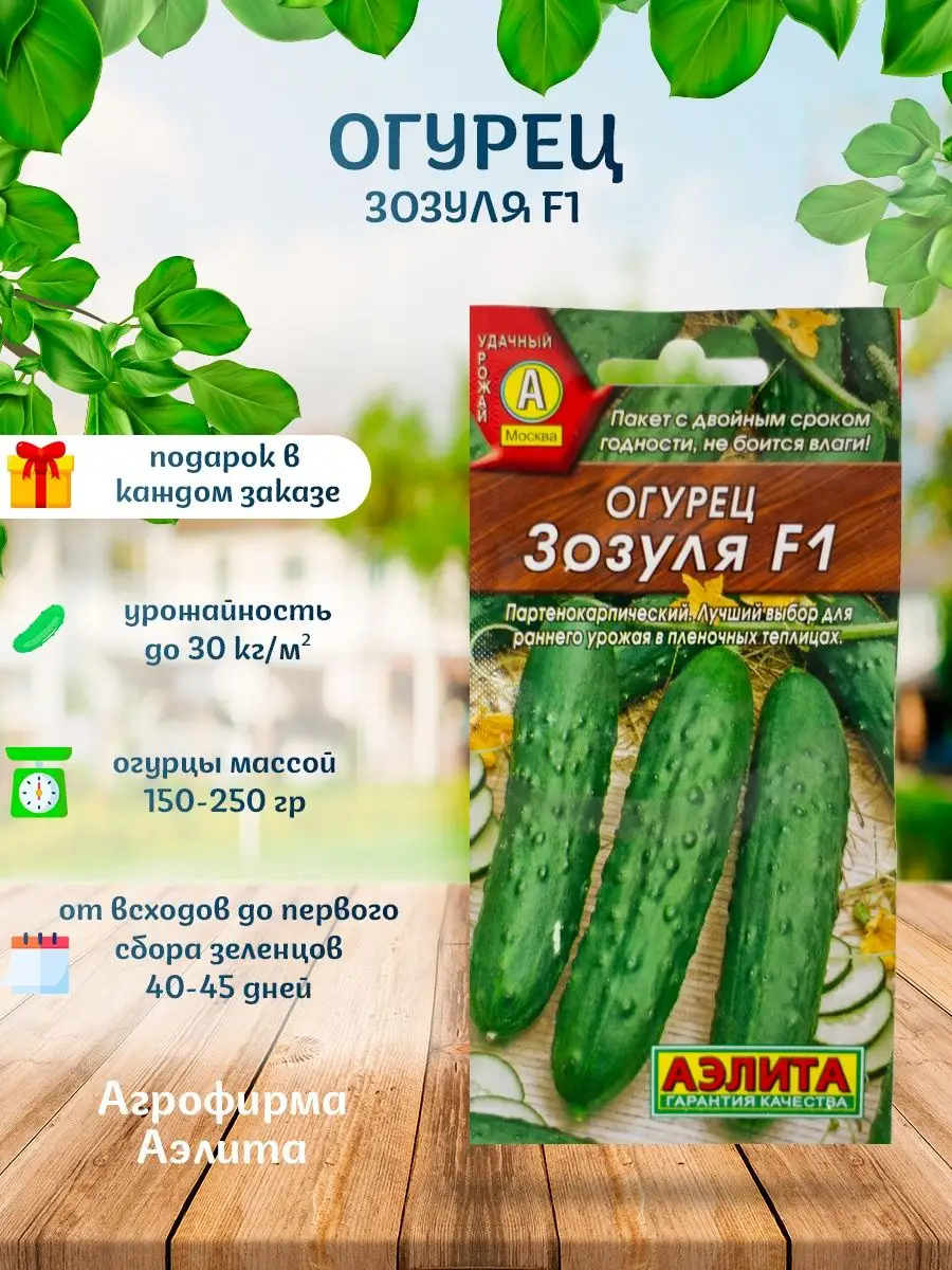 Огурцы зозуля отзывы фото описание. Сорт огурцов зозуля. огурец зозуля гавриш. огурец зозуля f1. огурец зозуля в разрезе.