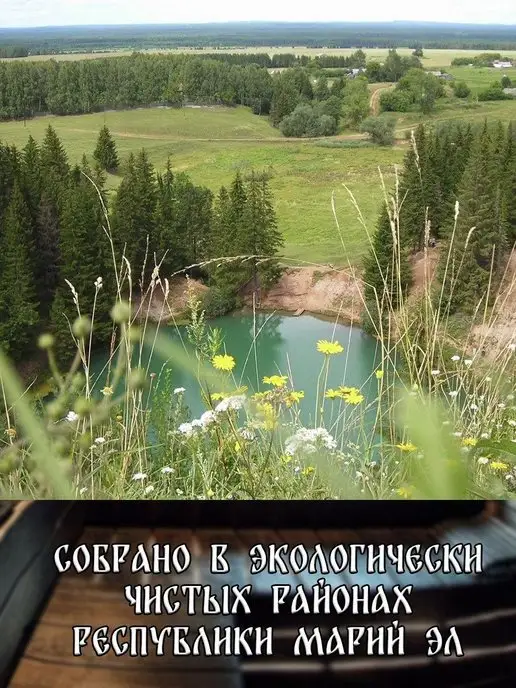 веник для бани березовый банный 5 штук 2026, 12 шт, фото 3
