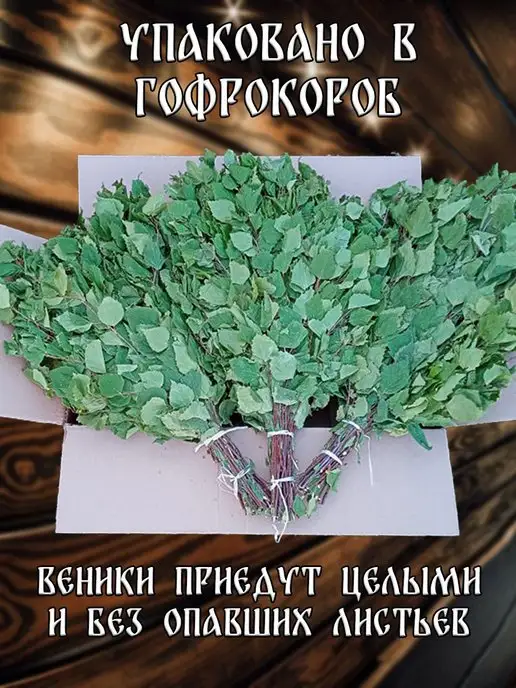 веник для бани березовый банный 6 штук, 6 шт, фото 3
