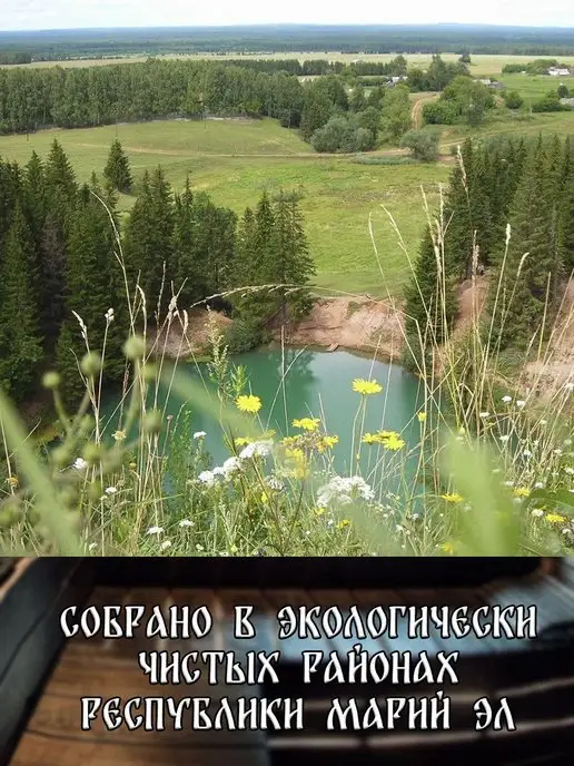 веник для бани березовый банный 6 штук, 6 шт, фото 4