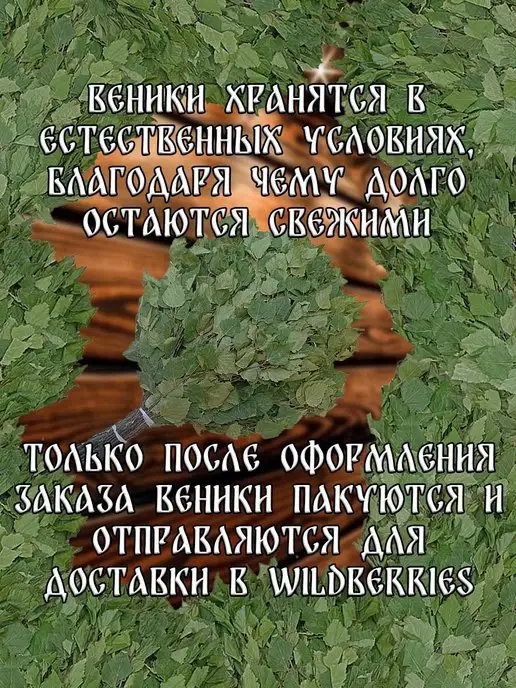 веник для бани березовый банный 6 штук, 6 шт, фото 8