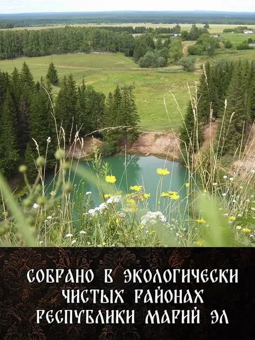 Дубовый Веник Веник для бани березовый банный 8 штук 2026, 8 шт, фото 2