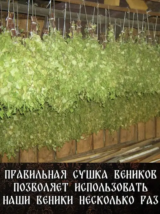 Дубовый Веник Веник для бани березовый банный 8 штук 2026, 8 шт, фото 4