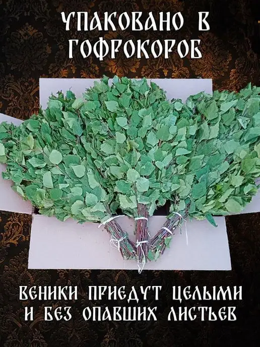Дубовый Веник Веник для бани березовый банный 8 штук 2026, 8 шт, фото 7