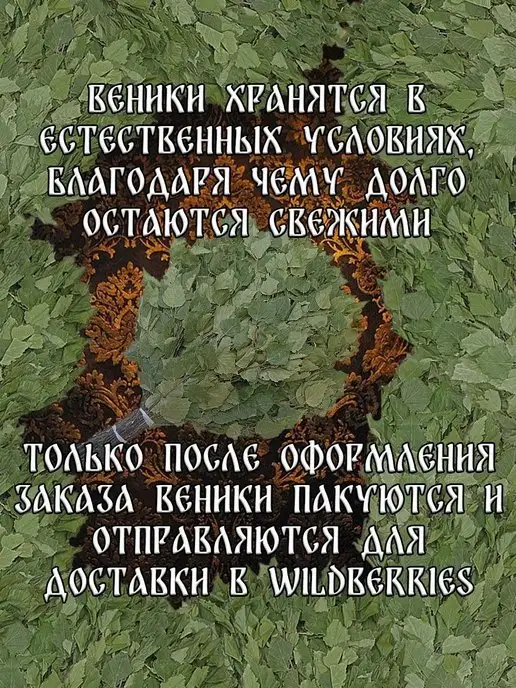 Дубовый Веник Веник для бани березовый банный 8 штук 2026, 8 шт, фото 8