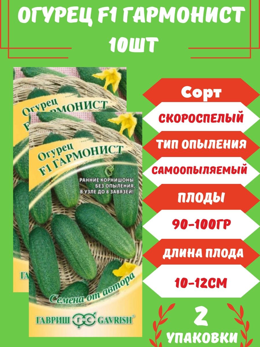 Огурец гармонист f1 фото. Огурец гармонист f1 10шт уд.семена. Огурец гармонист f1. Огурец гармонист фото. Огурцы гармонист отзывы.