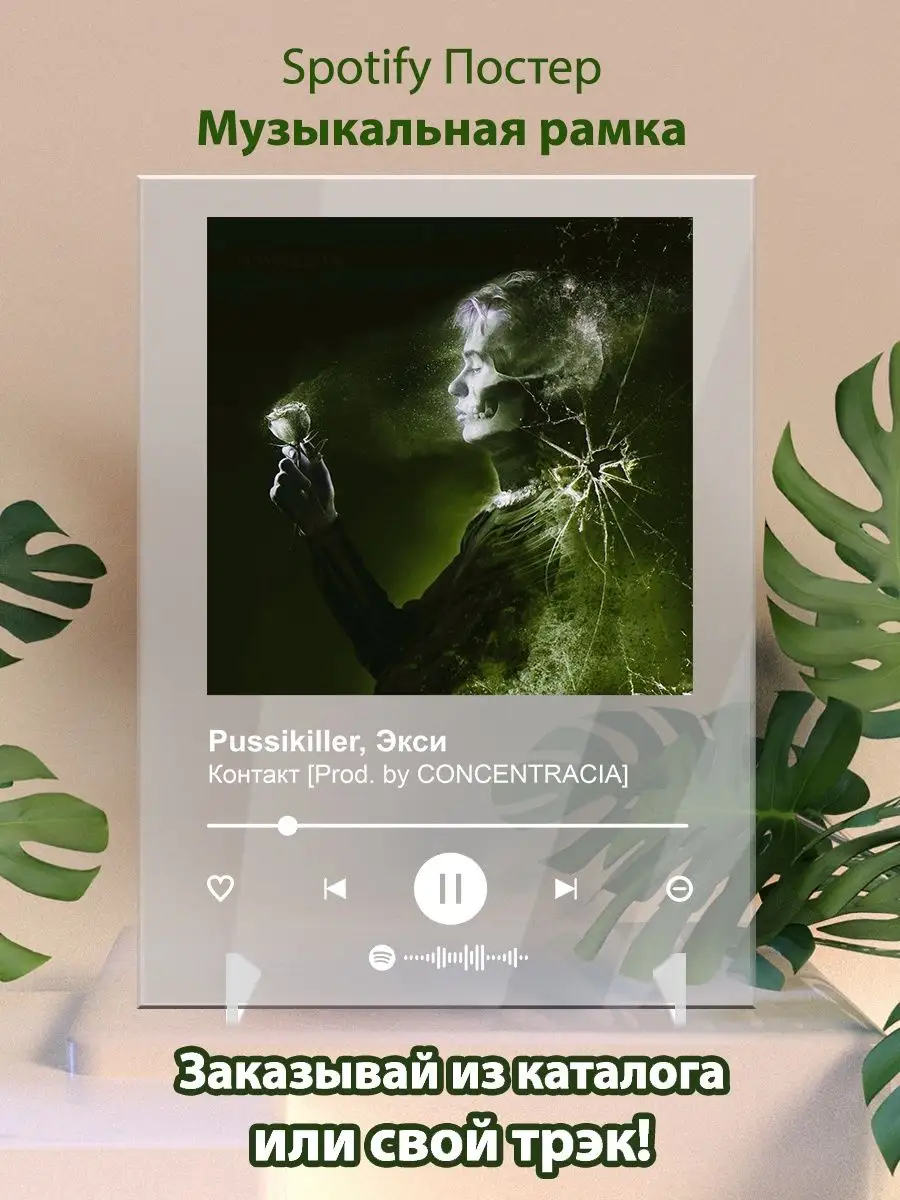 Постер Pussikiller Контакт Плакат Pussikiller картина Arthata-spotify  постер Спотифай постер 142125449 купить за 2 010 драм в интернет-магазине  Wildberries