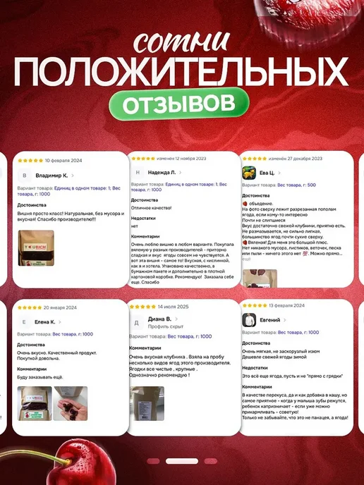Yourich Вишня вяленая без косточки 500 гр, 500 г, фото 5