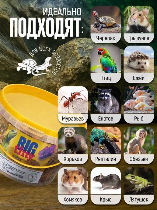 Big Tiny Сушеная рыбка для рептилий анчоусы для черепах, вариант, фото 2