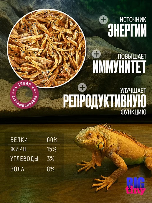 Big Tiny Сушеная рыбка для рептилий анчоусы для черепах, вариант, фото 3