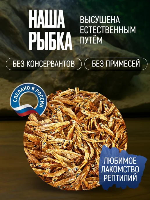 Big Tiny Сушеная рыбка для рептилий анчоусы для черепах, вариант, фото 5