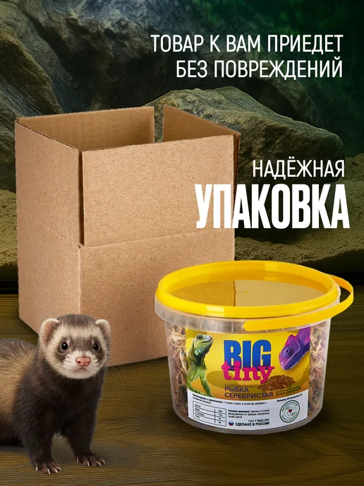 Big Tiny Сушеная рыбка для рептилий анчоусы для черепах, вариант, фото 6