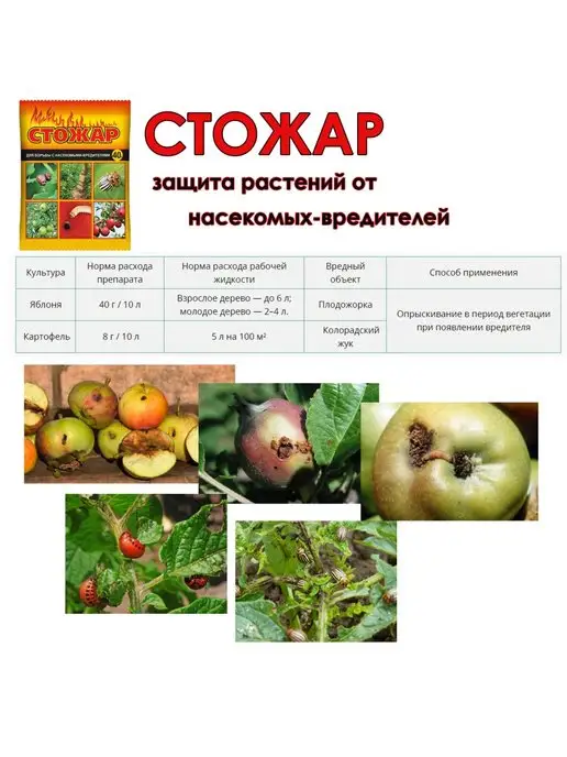 Ваше Хозяйство Стожар 40 г, защита от насекомых-вредителей, 40 г, фото 3