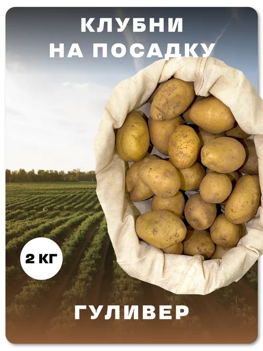 Садовник Семенной картофель "Гуливер", вариант
