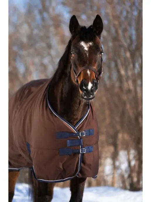 Первая Конная Мануфактура Попона денниковая на флисе FLEECE-LINED (синий), коричневый