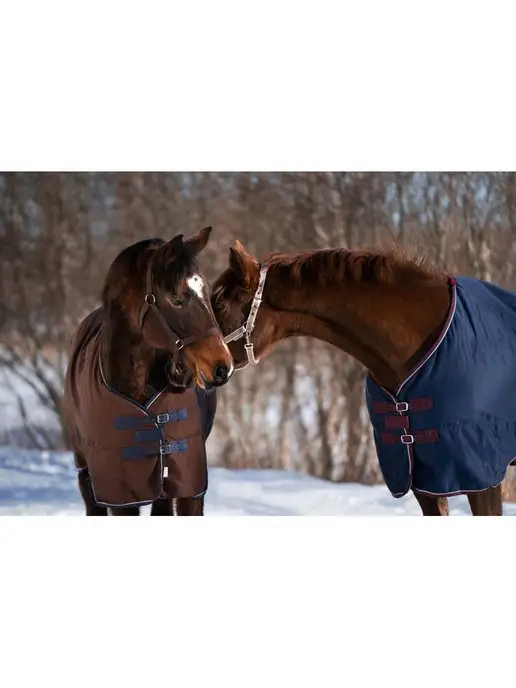 Первая Конная Мануфактура Попона денниковая на флисе FLEECE-LINED (синий), коричневый, фото 5
