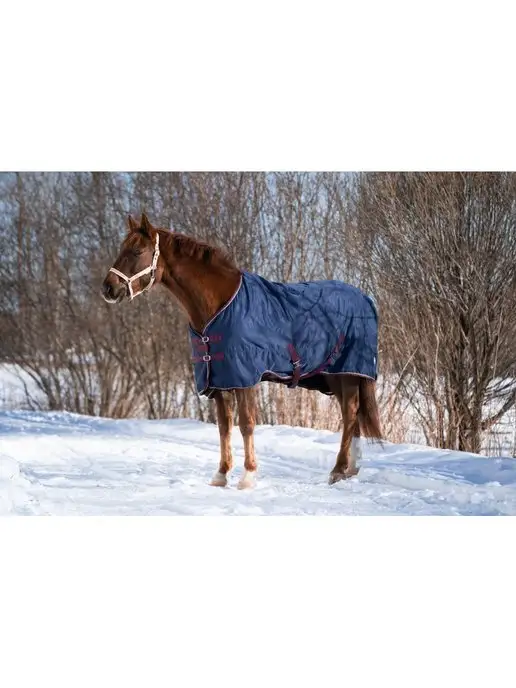 Первая Конная Мануфактура Попона денниковая на флисе FLEECE-LINED (синий), синий, фото 2