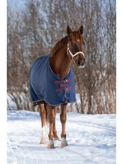 Первая Конная Мануфактура Попона денниковая на флисе FLEECE-LINED (синий), синий, фото 4