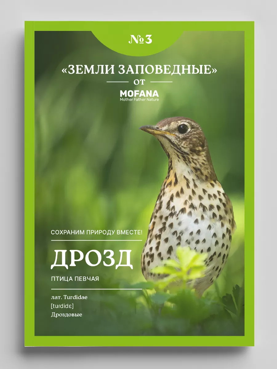 Блузка Mother Father Nature 142199386 купить за 2 975 ₽ в интернет-магазине  Wildberries