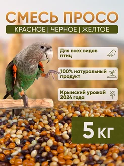 просо желтое, красное, черное для попугаев, птиц, грызунов Wild Bird 142205484 купить за 356 ₽ в интернет-магазине Wildberries