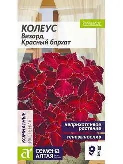 Колеус Визард красный бархат Семена Алтая 142264167 купить за 79 ₽ в интернет-магазине Wildberries