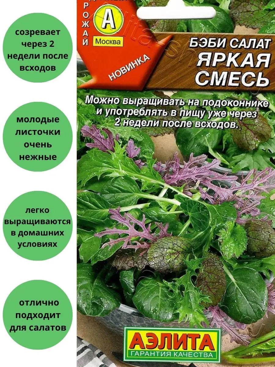 Бэби салат Яркая Смесь