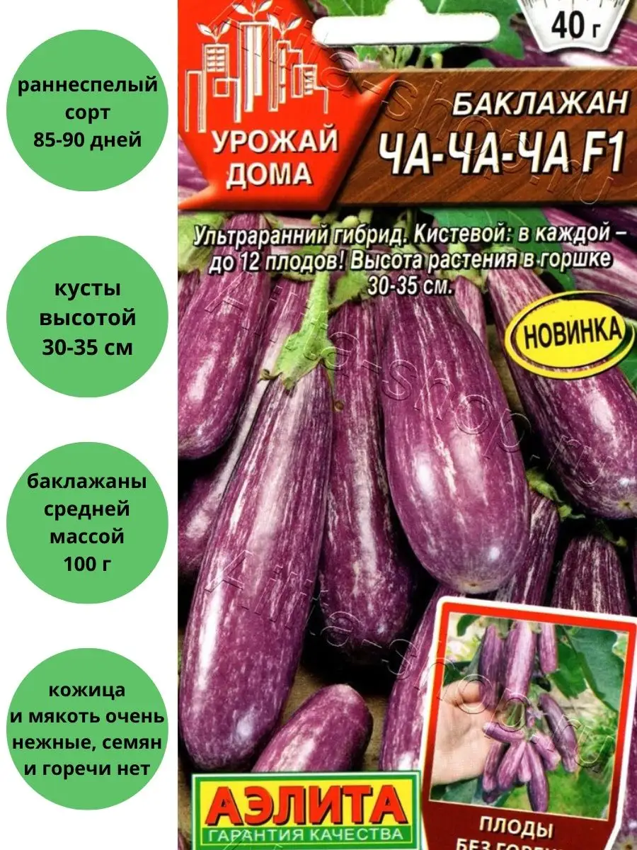 Баклажан Ча-ча-ча Агрофирма Аэлита 142318587 купить за 99 ₽ в  интернет-магазине Wildberries