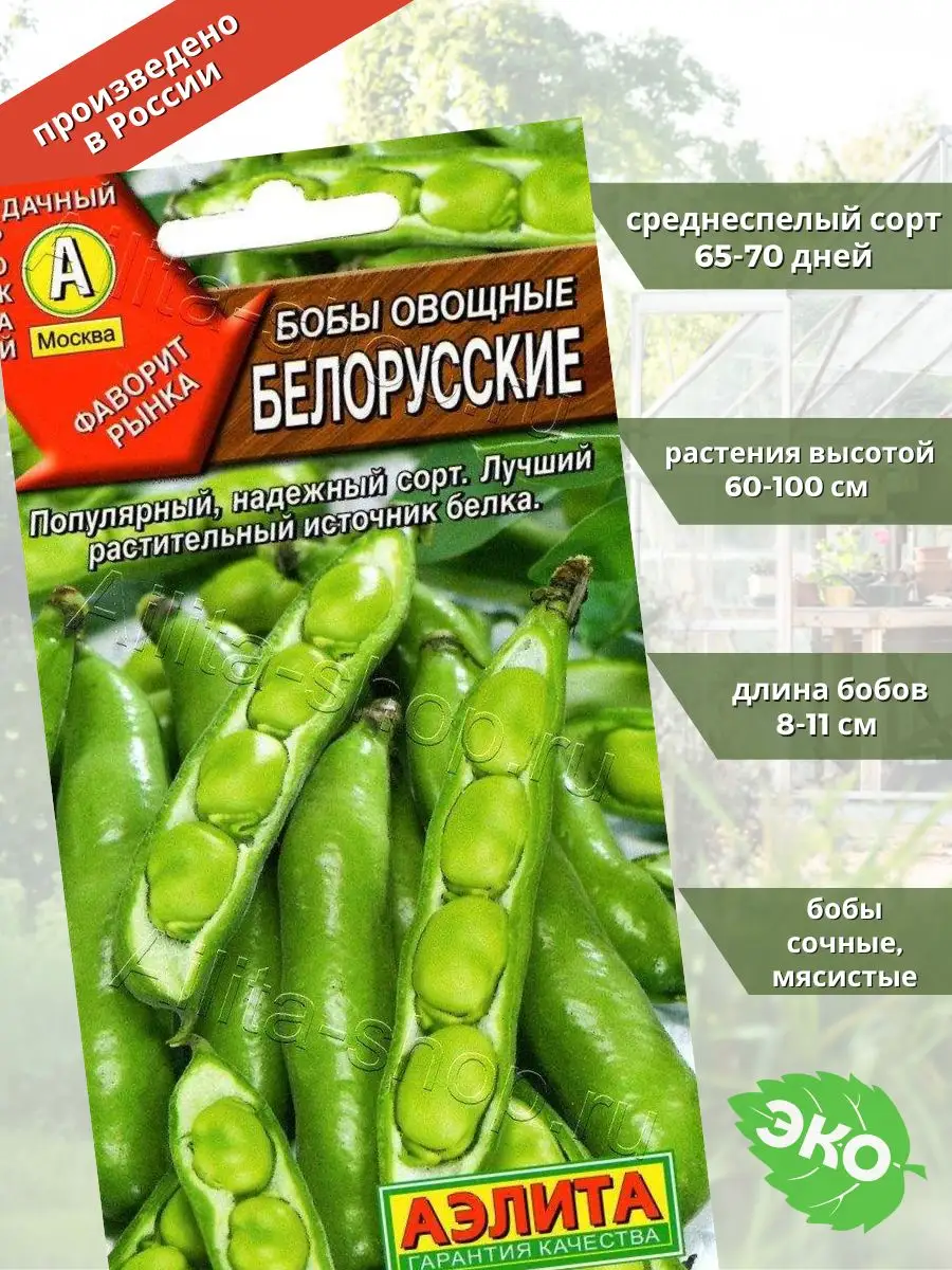 Бобы овощные Белорусские