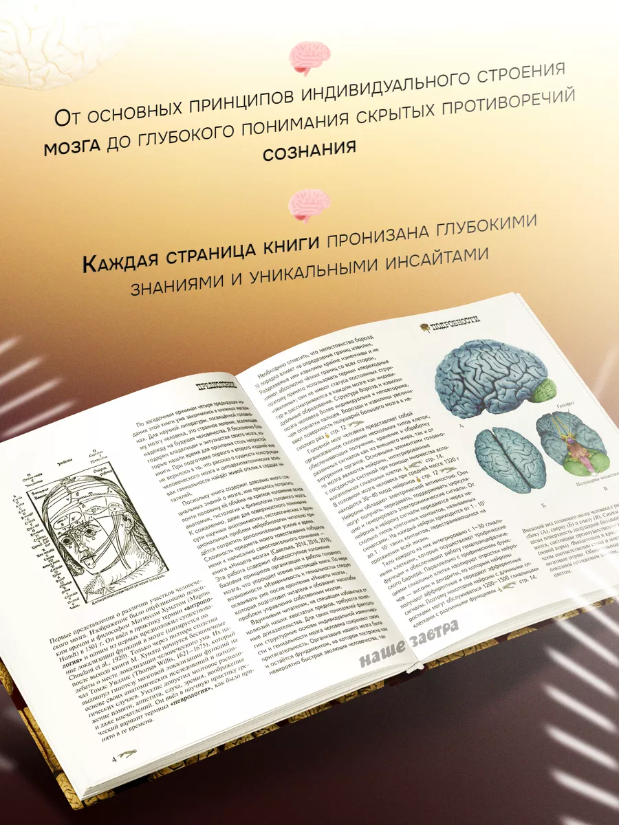 Атлас мозга человека; Изменчивость и Гениальность. 2 книги. Издательство  Веди 142327978 купить за 5 012 ₽ в интернет-магазине Wildberries