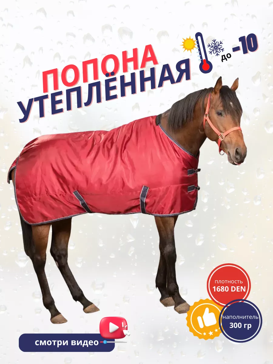 Sweethorse Попона для лошадей