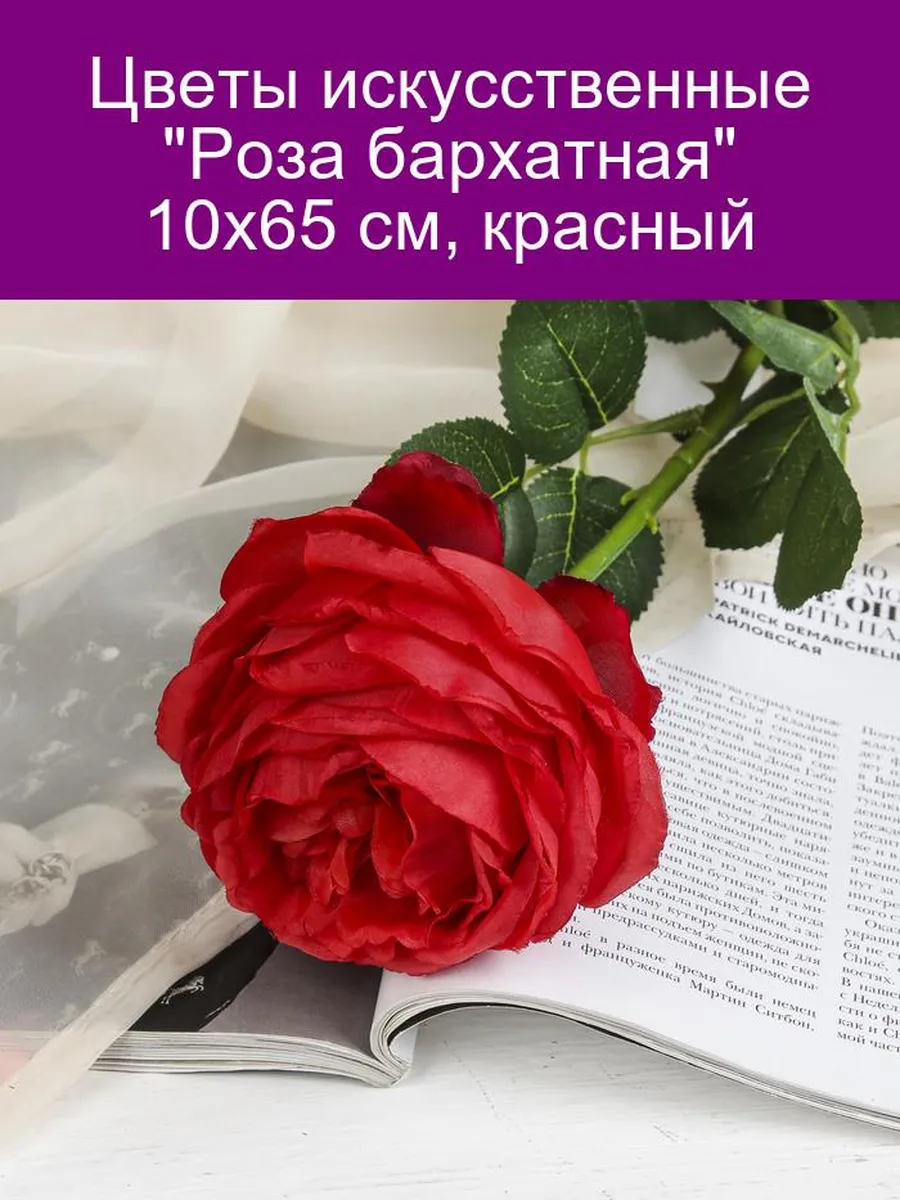 Розес нижний новгород