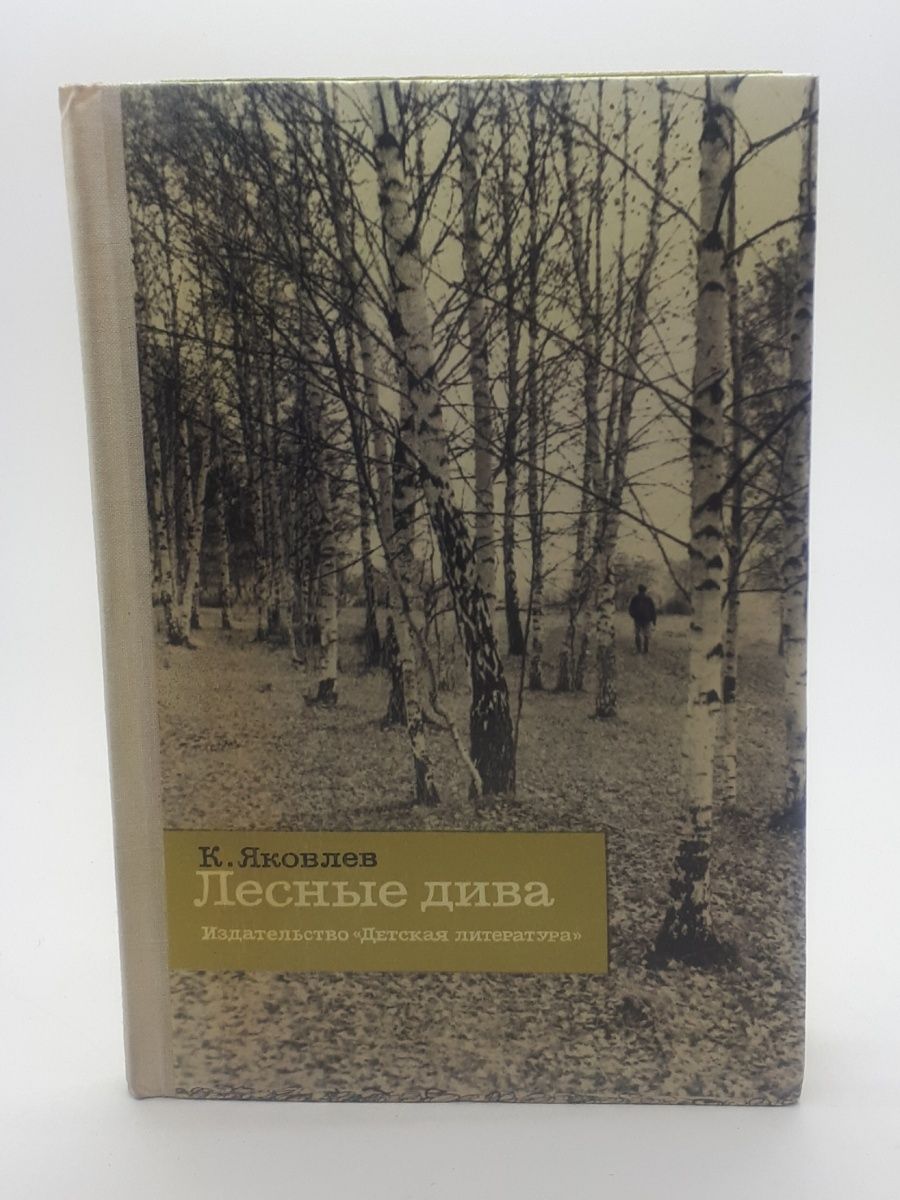 И. С. Тургенев "Рудин". Дворянское гнездо Тургенев.