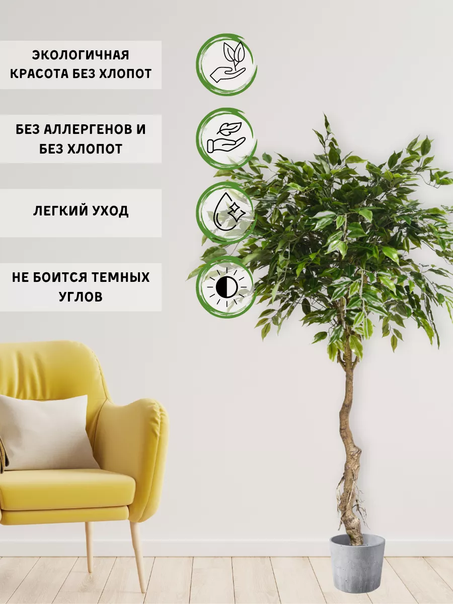 Искусственный Фикус Бенджамина 150см Lovely.Home 142562001 купить в  интернет-магазине Wildberries