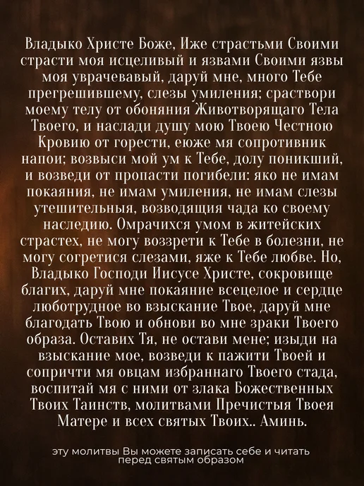 Духовный наставник Икона освященная "Господь Вседержитель" на МДФ 4х6, 4x6, фото 2