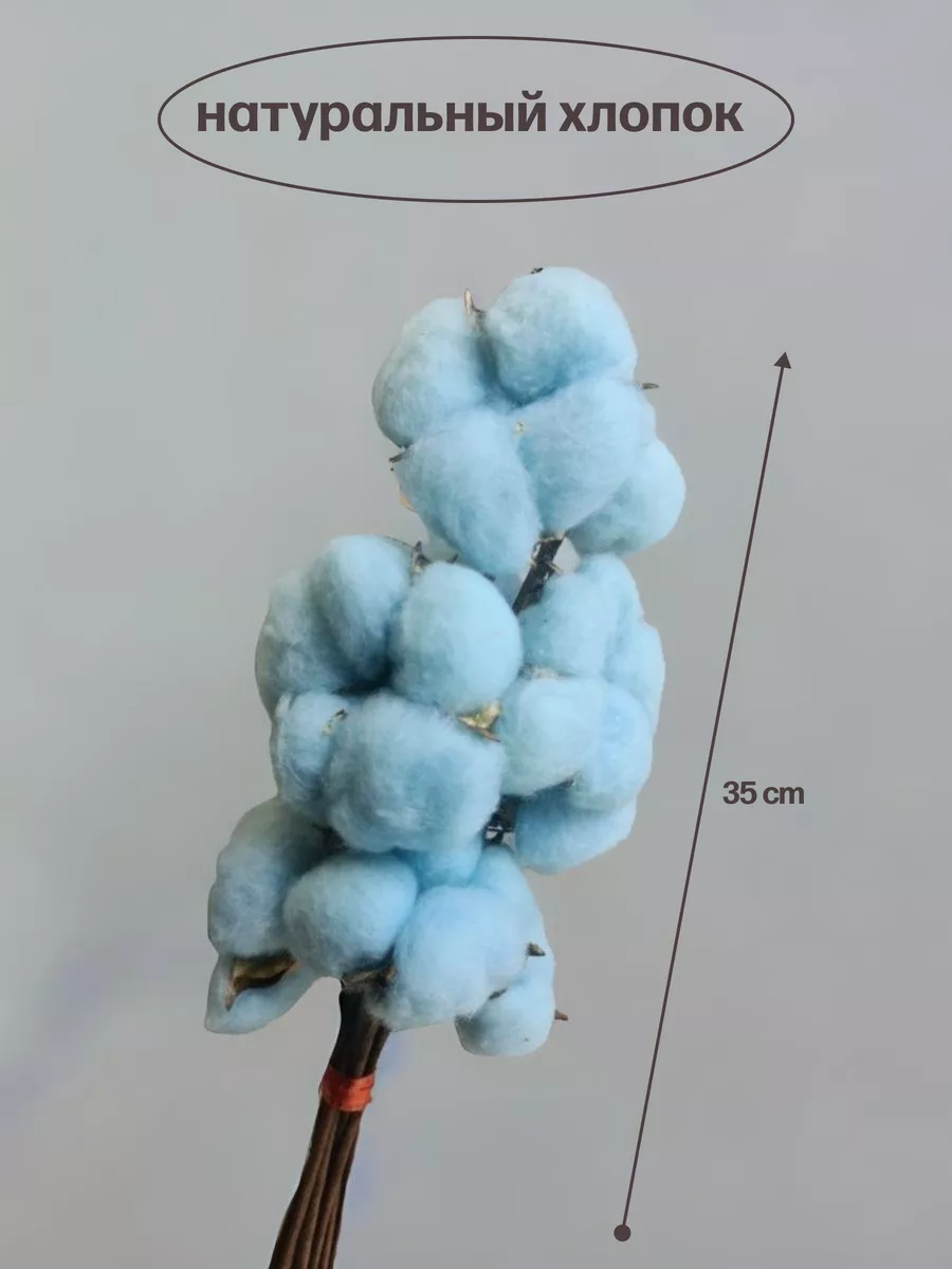 Хлопок сухоцветы 35см растения для декора дома интерьера Декоративный хлопок  для украшения ванны 142650639 купить в интернет-магазине Wildberries