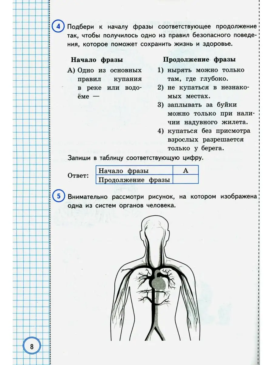 ВПР. Окружающий мир. За курс начальной школы. Практикум ... Экзамен  142663339 купить за 401 ₽ в интернет-магазине Wildberries