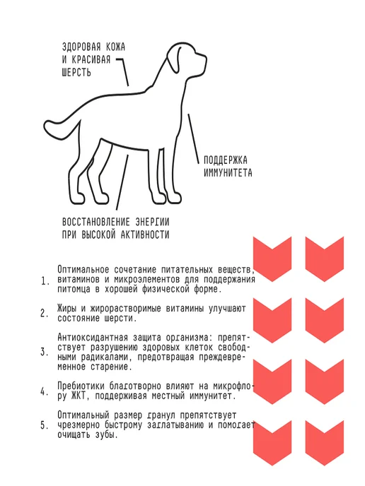 Сухой корм AJO для собак, взрослые, средние, говядина, 2 кг, фото 3