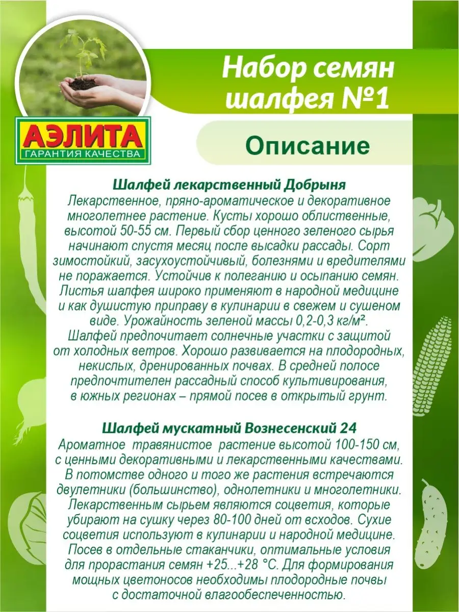 Шалфей Семенами Цена