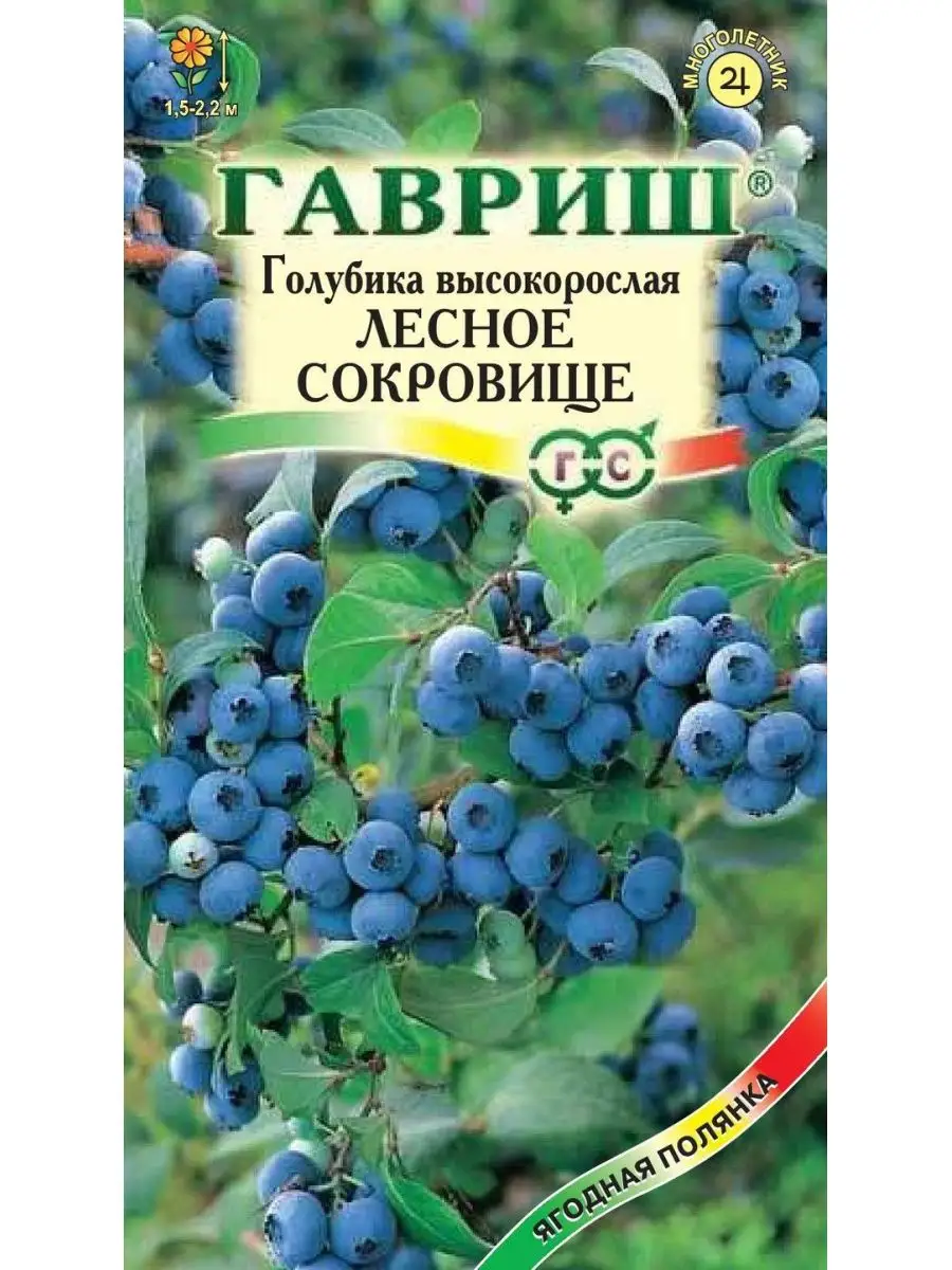 Голубика Лесное сокровище (30 семян), 2 пакета Гавриш 142683086 купить за 134 ₽ в интернет-магазине Wildberries