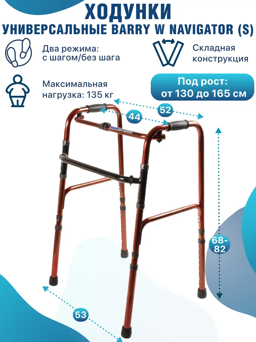 Строение женских половых органов